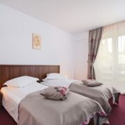 camera-cazare-hotelul-domnitei-caciulata-2 Hotelul Domniței