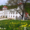 Mănăstirea Arnota